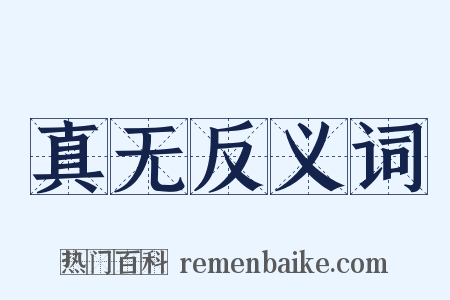 真无反义词是什么意思的图片